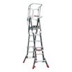 Safety-Cage Extending Multifunction Ladders