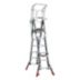 Safety-Cage Extending Multifunction Ladders