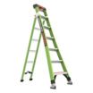 Leaning & Extending Multifunction Ladders