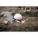 Product Image #8