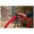 Product Image #6