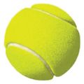 Tennis & Pickleball Equipment