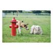 Dog Park Fire Hydrants