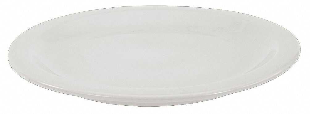 PLATE,10-3/8 IN.,BRIGHT WHITE,PK12