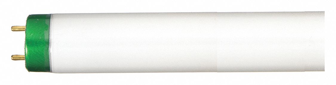 AMPOULE FLUORESCENTE LINÉAIRE, 4PI L, T8, 32W, 4100K, 2600LM