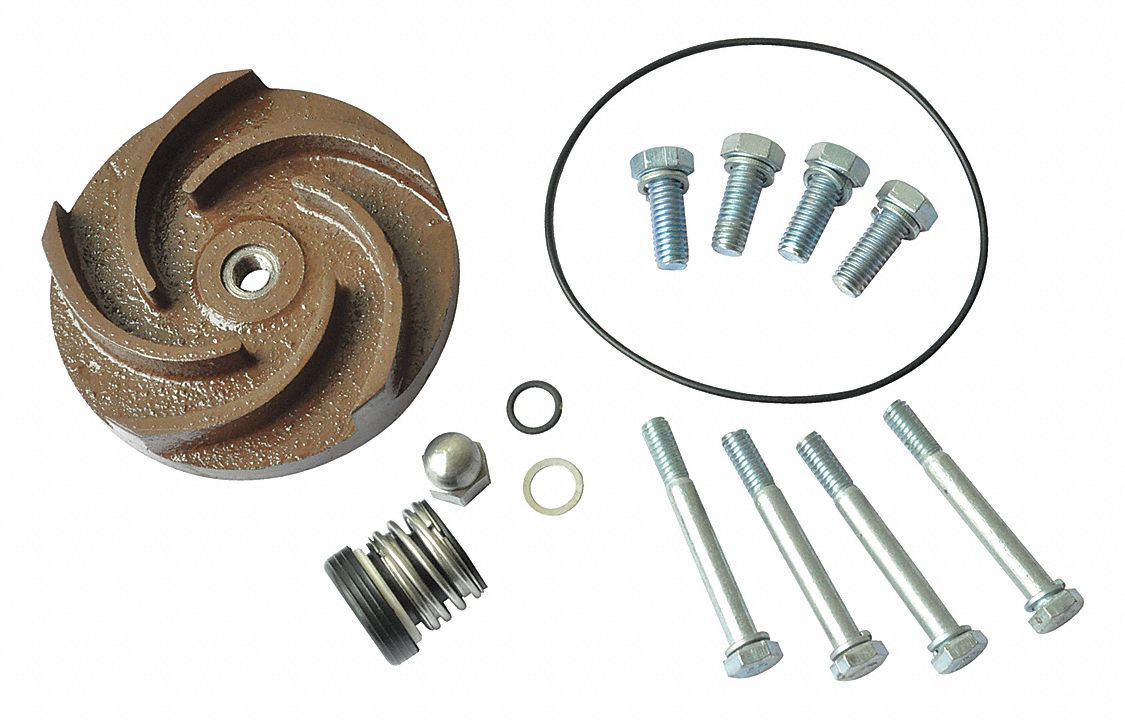 DAYTON Pump Repair Kit: Fits Dayton Brand - 21TG43|21TG43 - Grainger