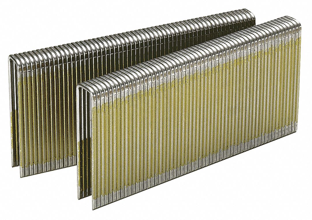 Staple 16 ga 2 In PK10000