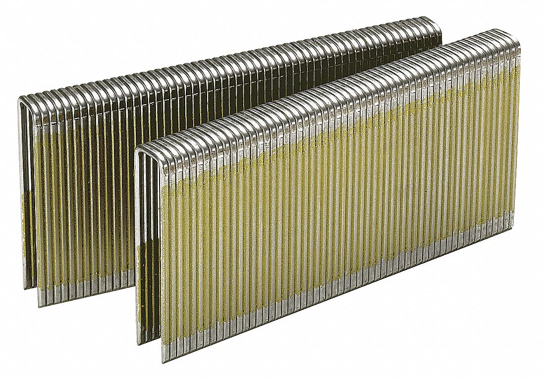 Staple 16 ga 2 In PK10000