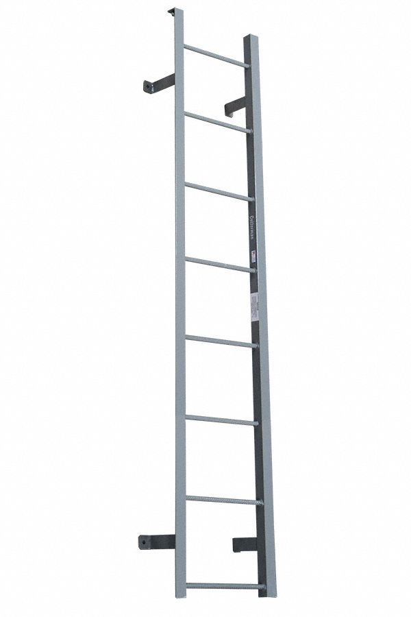 Fixed Ladder: 5 ft Overall Ht, 21 in Overall Wd, Steel, 300 lb Load Capacity, 6 Rungs
