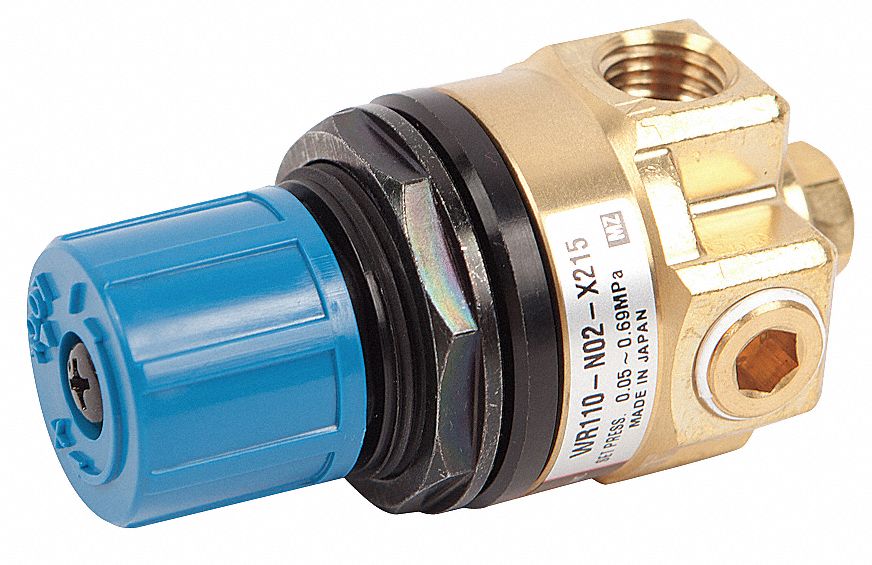 Pressure Regulator 0 to 100 psi: Fits Blodgett Brand