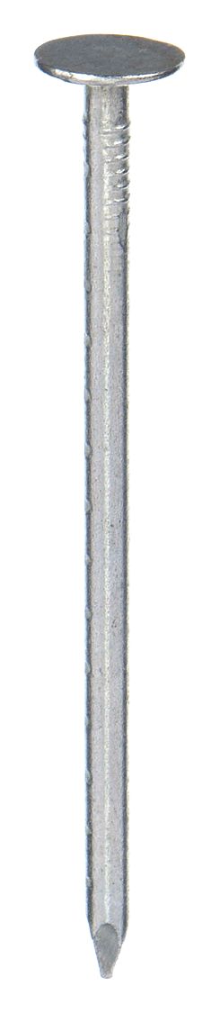 CLOUS TOIT,2 1/2PO,11GA,2 1/2PO L,0.1205PO DIA TIGE,LISSE,610PQ