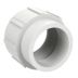 Spigot x Threaded Schedule DWV Pipe Fittings