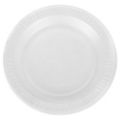 Disposable Plates