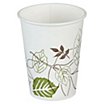 Insulated Paper Hot Cups