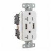 Duplex Receptacles with Type A USB Ports