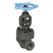 Carbon Steel Straight-Body General-Service Globe Valves