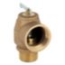 ASME Section IV Steam Pressure Relief Valves