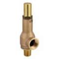 Cryogenic Service Pressure Relief Valves