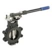 Carbon Steel High-Performance Butterfly Valves