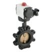 Ductile Iron General-Service Pneumatic Butterfly Valves