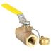 Bronze Ball Valves with Dust Cap & Chain