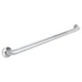 Bathroom Grab Bars