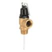 ASME Section IV Temperature & Pressure Relief Valves