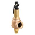 Steam Pressure Relief Valves