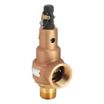 ASME Section I Steam Pressure Relief Valves