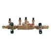 Watts Double Check Backflow Preventers