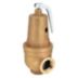 ASME Section IV Hot Water Pressure Relief Valves