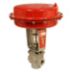 Stainless Steel Pneumatic Globe Valves