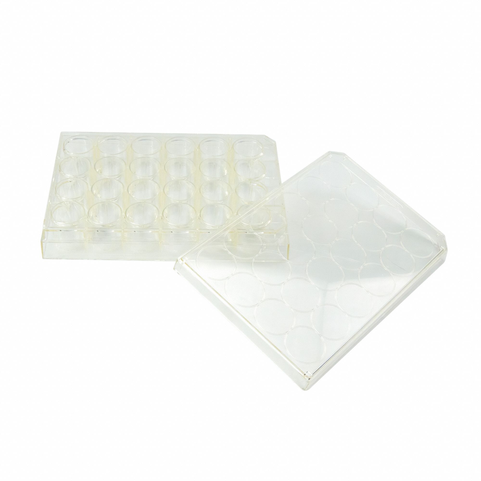CAPLUGS Tissue Culture Treated Well Plates: Sterile, 24 Wells, 3.5 mL, 85 mm Dia, Square (MPN 333802401FE1). Key specifications — Brand: CAPLUGS; Body Color: Natural; RNase/DNase Free: No; Well Shape: Square; Material: Polystyrene.