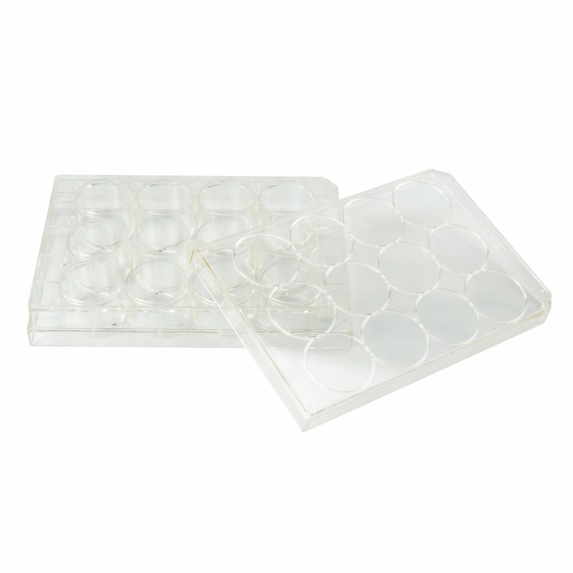 CAPLUGS Tissue Culture Treated Well Plates: Sterile, 12 Wells, 6.76 mL, 85 mm Dia, Square (MPN 333802601FE1). Key specifications — Brand: CAPLUGS; Body Color: Natural; RNase/DNase Free: No; Well Shape: Square; Material: Polystyrene.