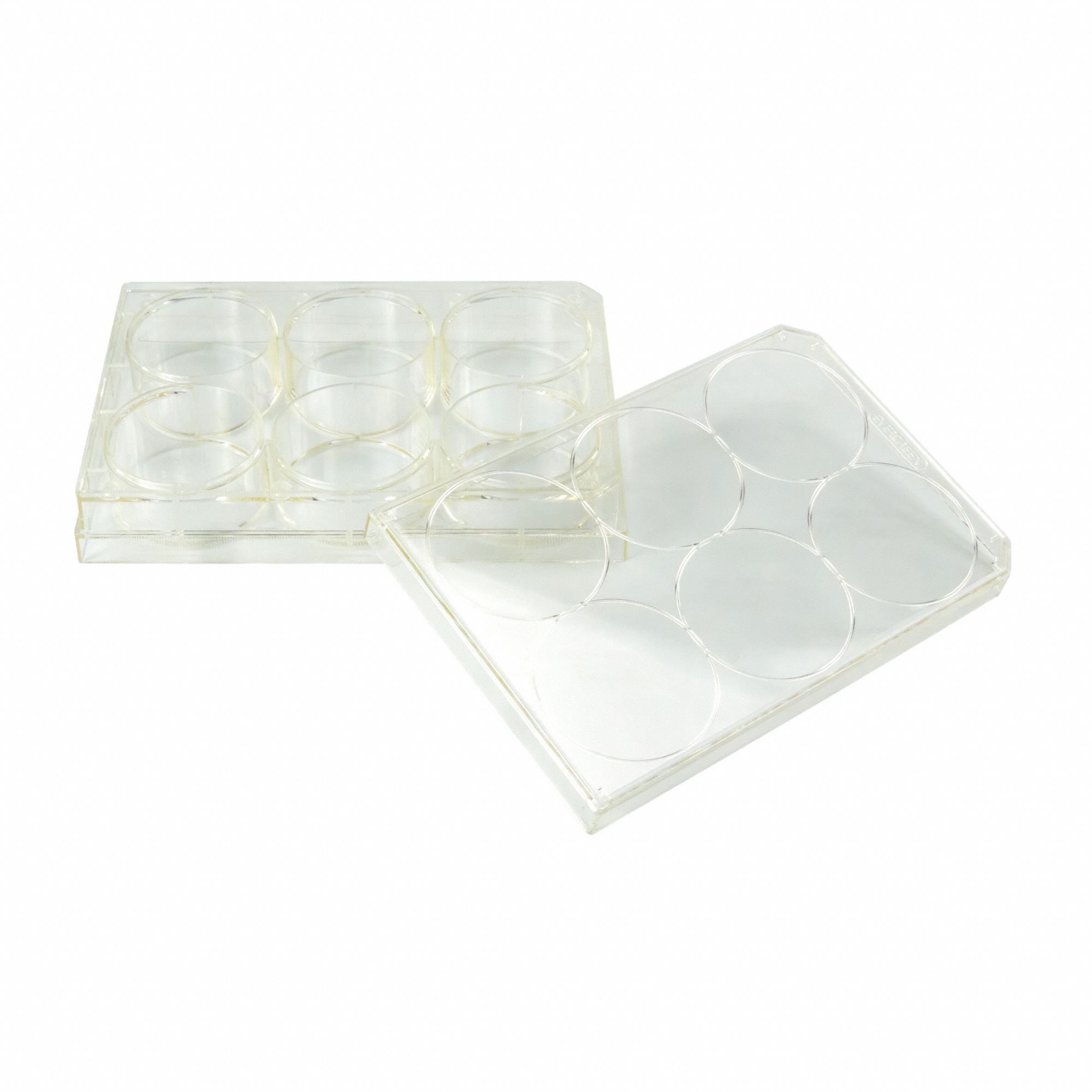 CAPLUGS 6-Well Microplates with Lids: Sterile, 6 Wells, 17.7 mL, 85 mm Dia, Square, Polystyrene (MPN 222804801FE1). Key specifications — Brand: CAPLUGS; Body Color: Natural; RNase/DNase Free: No; Well Shape: Square; Material: Polystyrene.
