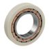 Ceramic Insulated Cylindrical Roller Bearings