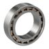 Double Row Cylindrical Roller Bearings