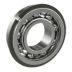 General Purpose Retaining Ring Ball Bearings