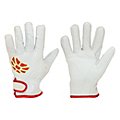 Leather Cold-Condition Insulated Gloves & Mitts image
