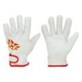 Leather Cold-Condition Insulated Gloves & Mitts