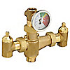Eye Wash and Shower Thermal Protection Valves