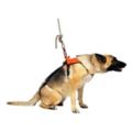 Animal Rescue Equipment