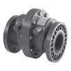 CPVC Inline Swing Check Valves