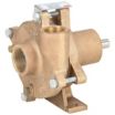 1/3 to 1-1/2 HP Pedestal Pumps image