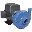 1 to 1-1/2 HP Straight Centrifugal Pumps