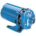 Straight Centrifugal Pumps, Motors, Impellers & Seals