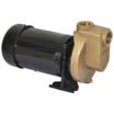 1-1/2 to 3 HP Self-Priming Centrifugal Pumps