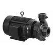 5 to 10 HP Straight Centrifugal Pumps