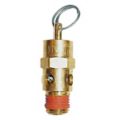 Pneumatic Safety Valves