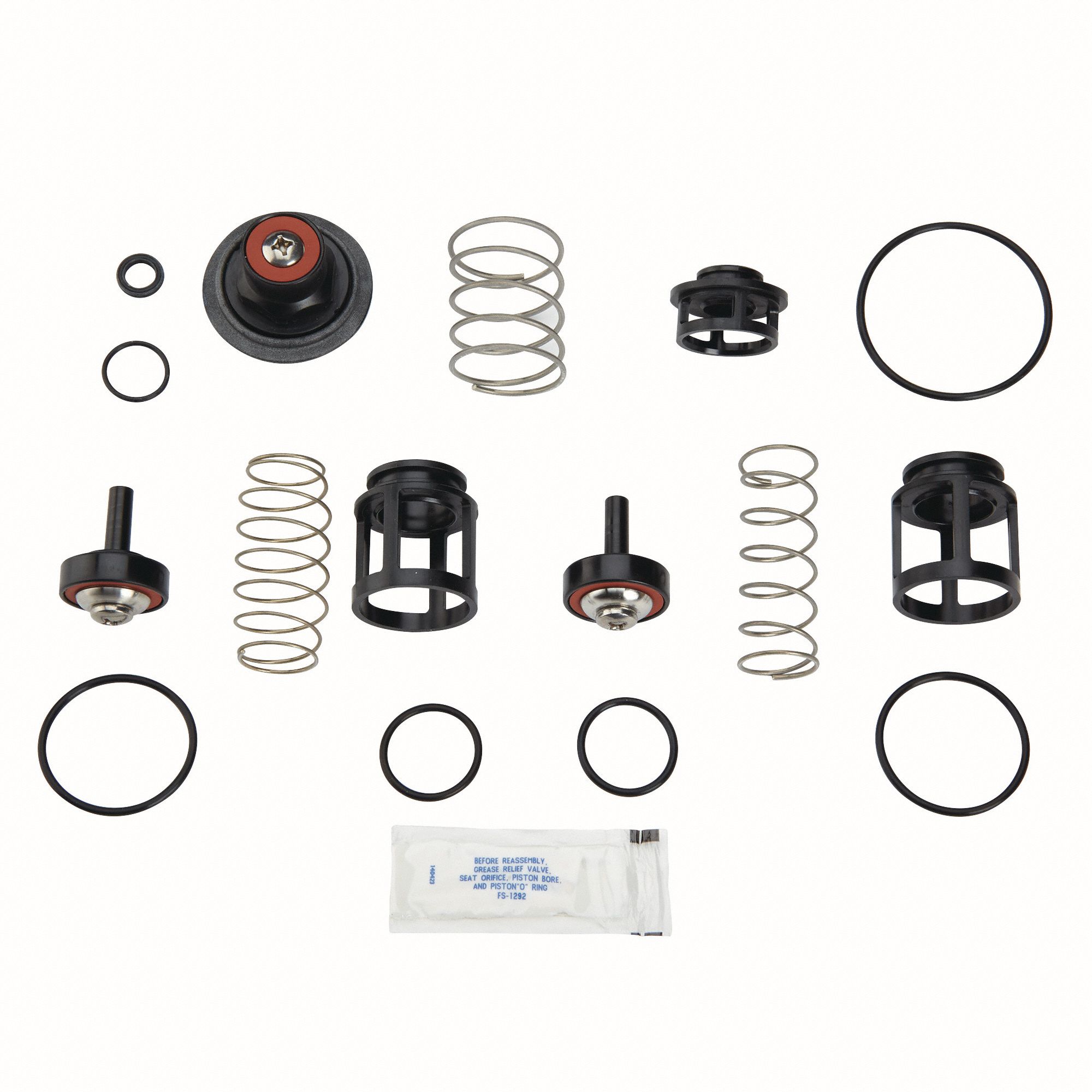 Backflow Preventer Repair Kit: Backflow Preventer Repair Kit, 809GC6, 3/4 LF919-QT-S-FS